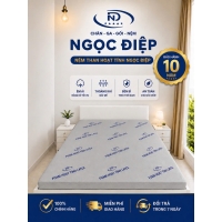 Nệm Foam Than Hoạt Tính Ngọc Điệp