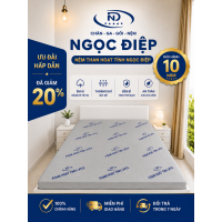 Nệm Foam Than Hoạt Tính Ngọc Diệp
